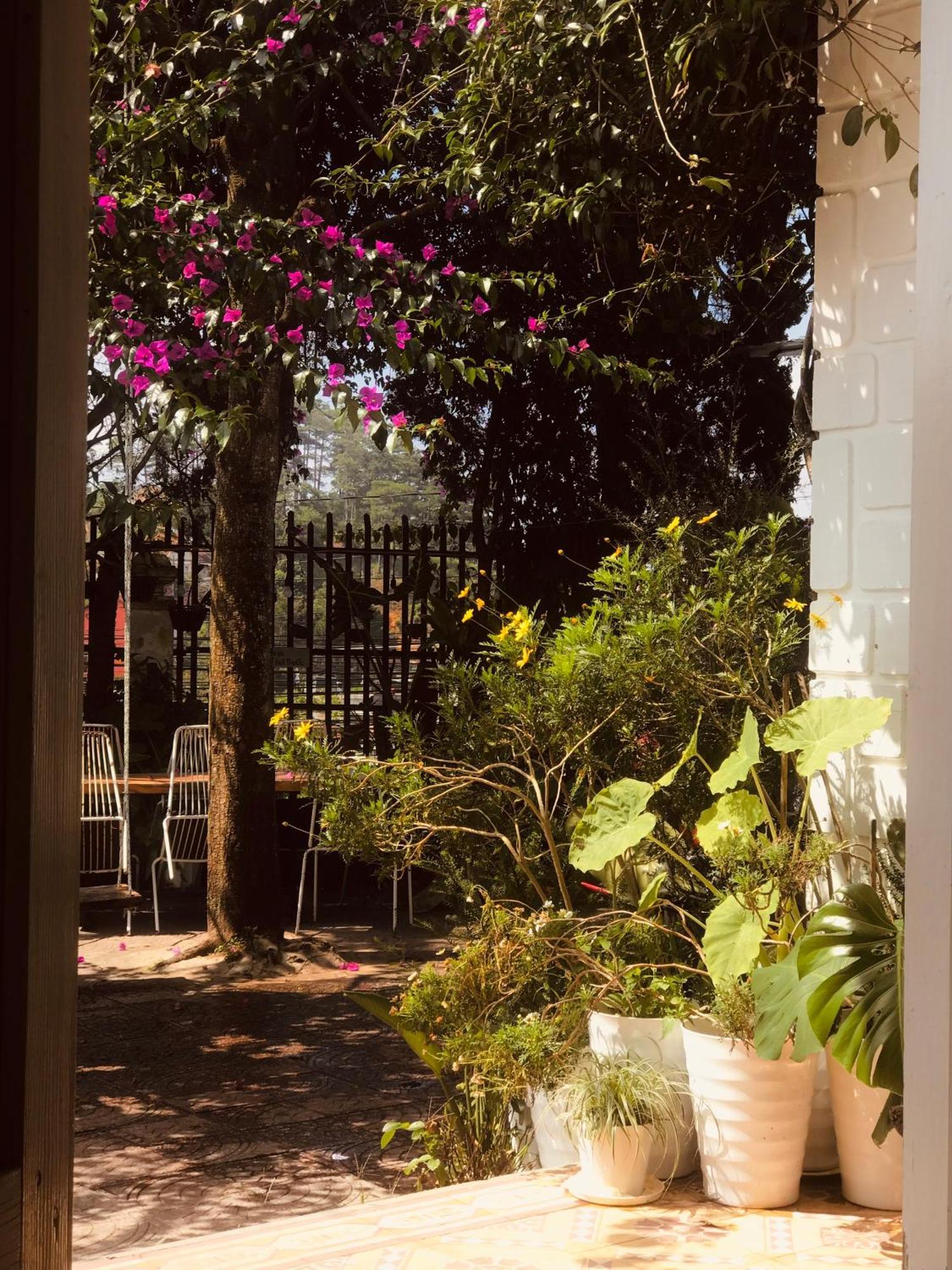 Hat De Homestay Dalat Eksteriør bilde